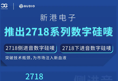 大阳城集团娱乐app网址发布2718系列数字硅唛，突破技术瓶颈，为市场注入新血液